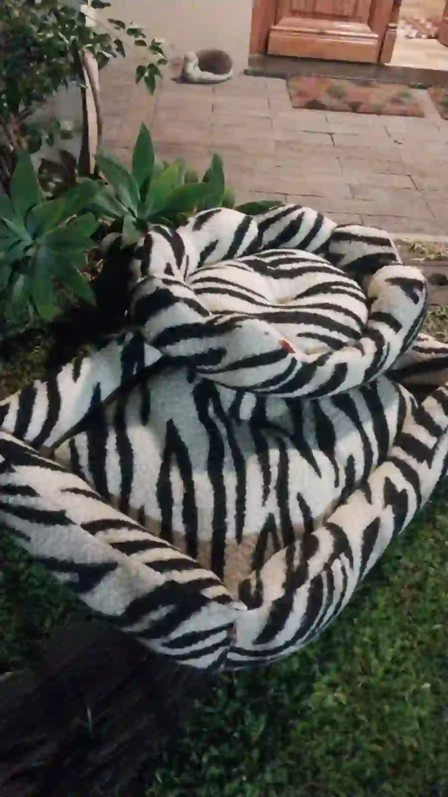 Cama rectangular grande en paño bucle cebra y corderito - Cariños Argentinos