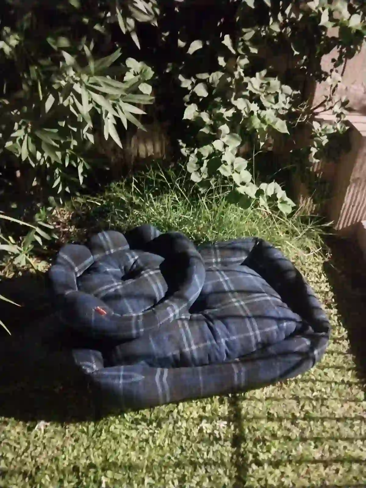 Cama chica modelo flor en paño corderito y cebra - Cariños Argentinos